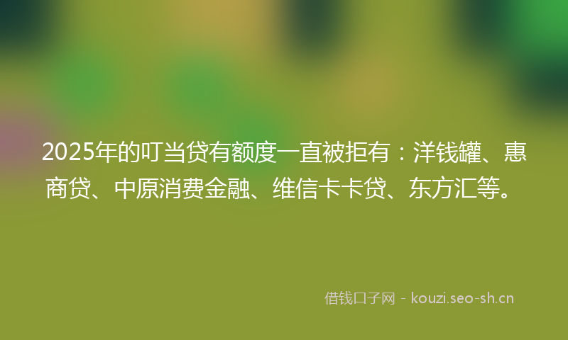 2025年的叮当贷有额度一直被拒有：洋钱罐、惠商贷、中原消费金融、维信卡卡贷、东方汇等。