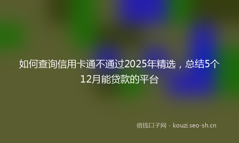 如何查询信用卡通不通过2025年精选，总结5个12月能贷款的平台