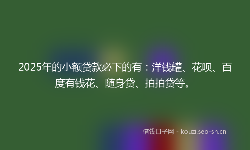 2025年的小额贷款必下的有：洋钱罐、花呗、百度有钱花、随身贷、拍拍贷等。