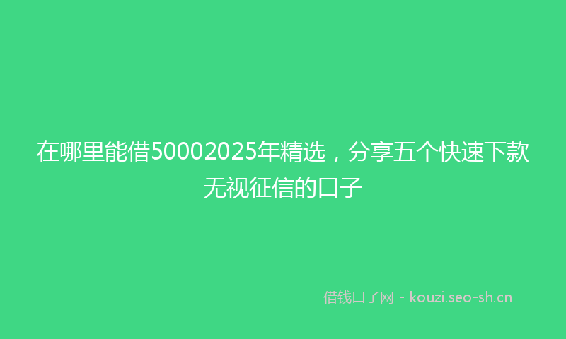 在哪里能借50002025年精选,分享五个快速下款无视征信的口子
