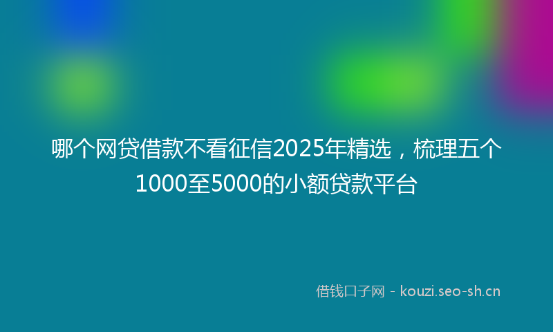 哪个网贷借款不看征信2025年精选，梳理五个1000至5000的小额贷款平台