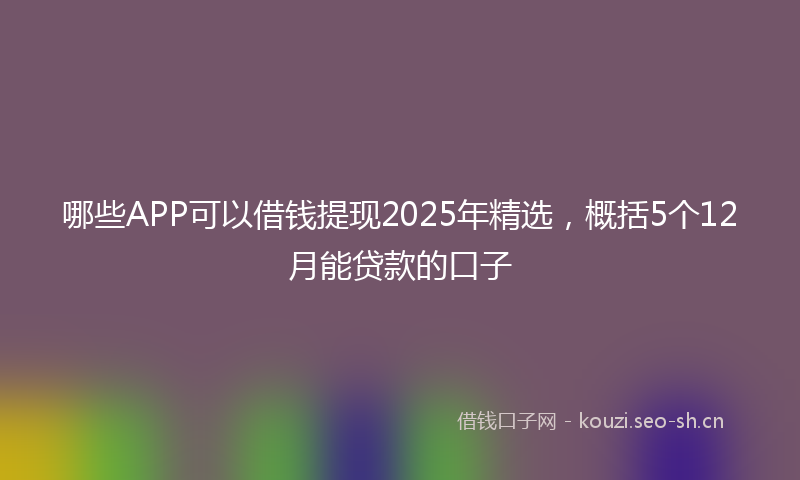 哪些APP可以借钱提现2025年精选，概括5个12月能贷款的口子