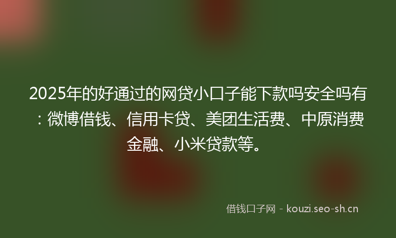 2025年的好通过的网贷小口子能下款吗安全吗有：微博借钱、信用卡贷、美团生活费、中原消费金融、小米贷款等。