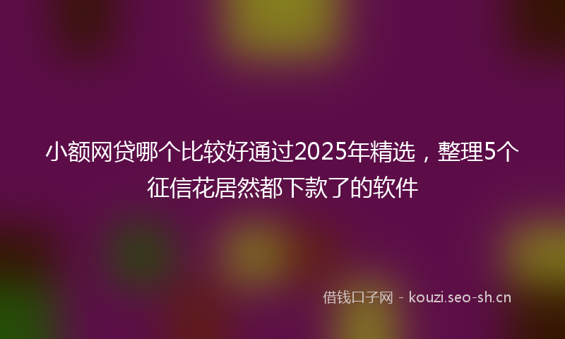 小额网贷哪个比较好通过2025年精选，整理5个征信花居然都下款了的软件