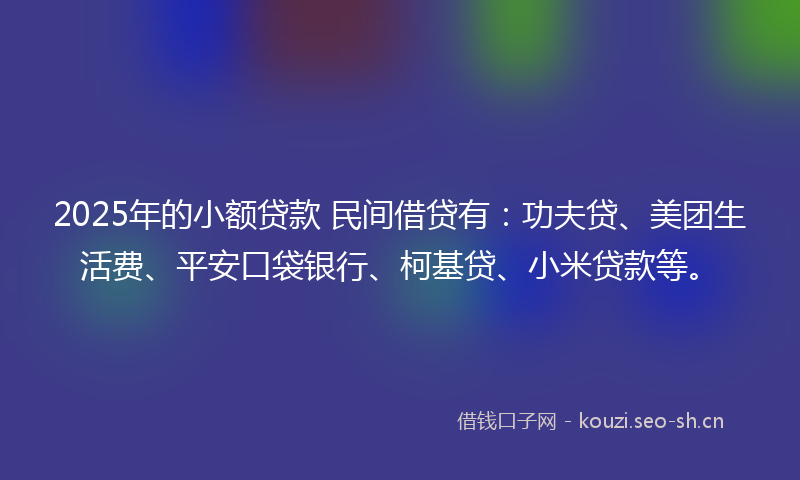 2025年的小额贷款 民间借贷有：功夫贷、美团生活费、平安口袋银行、柯基贷、小米贷款等。