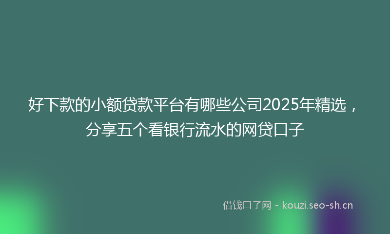 好下款的小额贷款平台有哪些公司2025年精选，分享五个看银行流水的网贷口子