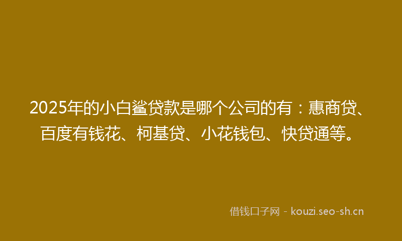 2025年的小白鲨贷款是哪个公司的有：惠商贷、百度有钱花、柯基贷、小花钱包、快贷通等。