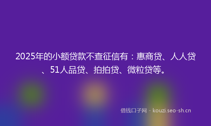 2025年的小额贷款不查征信有：惠商贷、人人贷、51人品贷、拍拍贷、微粒贷等。