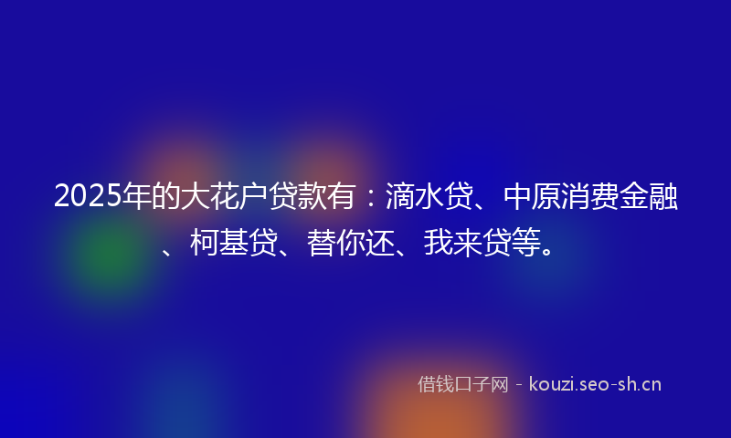 2025年的大花户贷款有：滴水贷、中原消费金融、柯基贷、替你还、我来贷等。