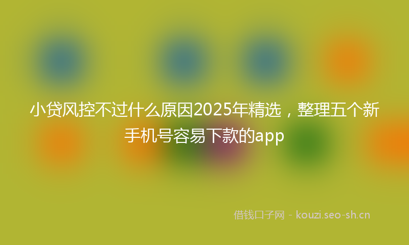 小贷风控不过什么原因2025年精选，整理五个新手机号容易下款的app