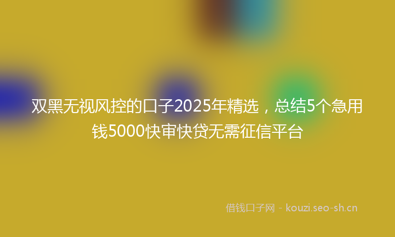 双黑无视风控的口子2025年精选，总结5个急用钱5000快审快贷无需征信平台