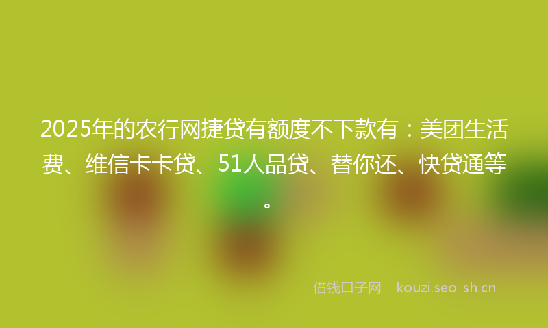 2025年的农行网捷贷有额度不下款有：美团生活费、维信卡卡贷、51人品贷、替你还、快贷通等。