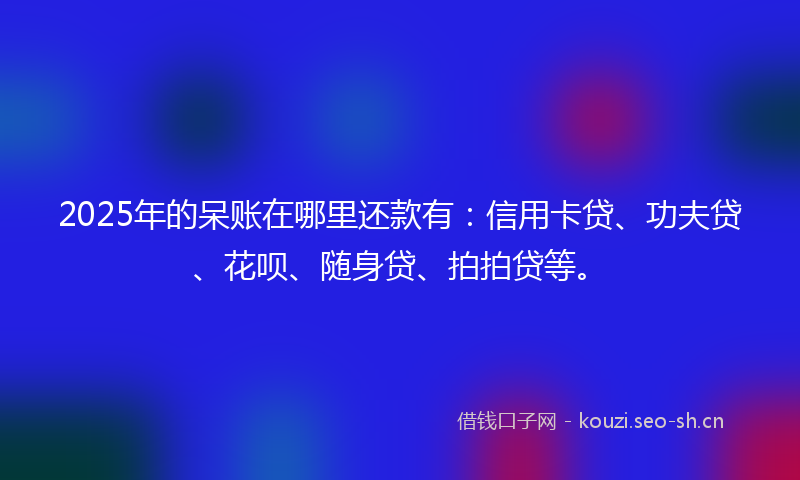 2025年的呆账在哪里还款有：信用卡贷、功夫贷、花呗、随身贷、拍拍贷等。