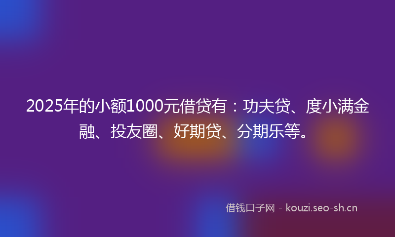 2025年的小额1000元借贷有：功夫贷、度小满金融、投友圈、好期贷、分期乐等。