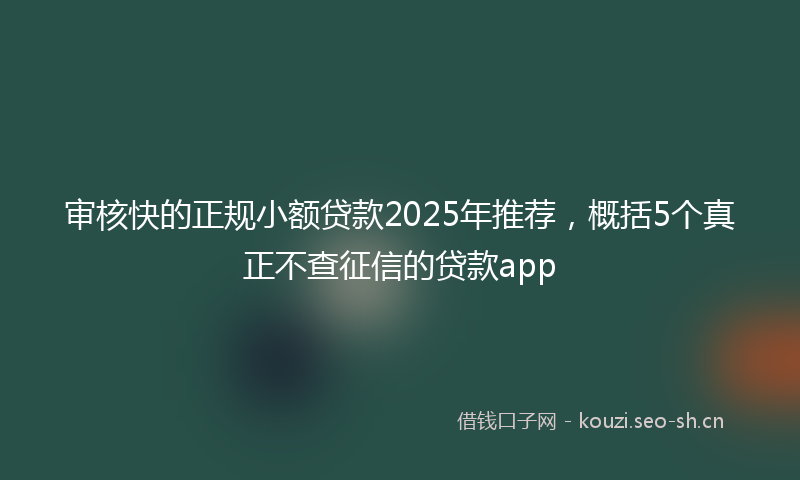 审核快的正规小额贷款2025年推荐，概括5个真正不查征信的贷款app
