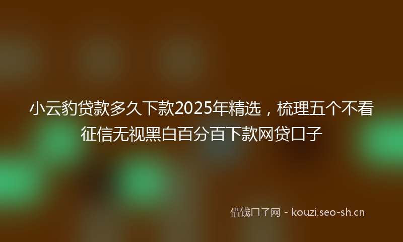 小云豹贷款多久下款2025年精选，梳理五个不看征信无视黑白百分百下款网贷口子