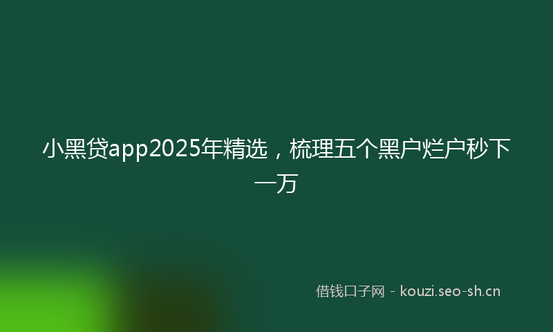 小黑贷app2025年精选，梳理五个黑户烂户秒下一万