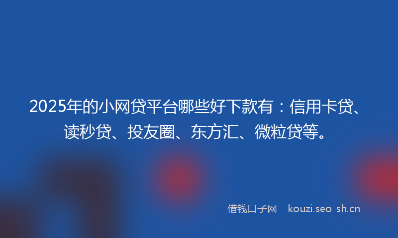2025年的小网贷平台哪些好下款有：信用卡贷、读秒贷、投友圈、东方汇、微粒贷等。