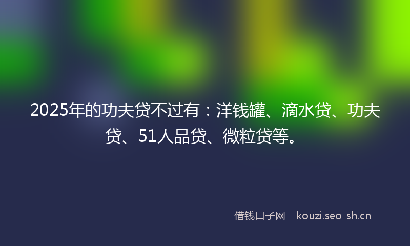 2025年的功夫贷不过有：洋钱罐、滴水贷、功夫贷、51人品贷、微粒贷等。