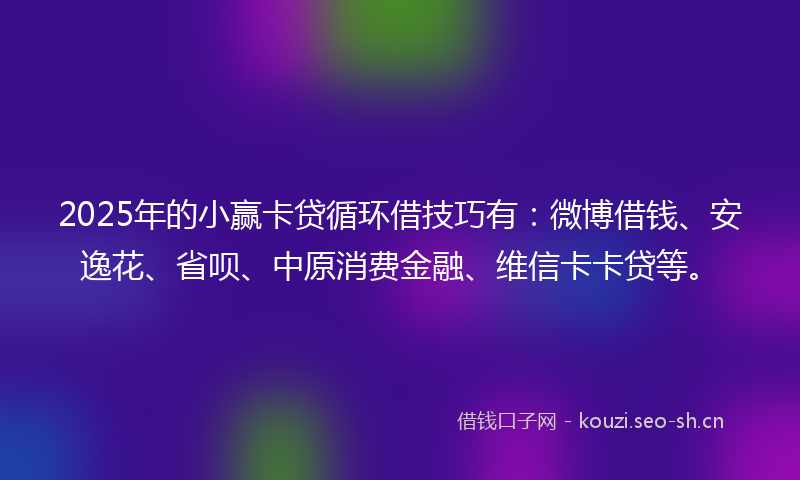 2025年的小赢卡贷循环借技巧有：微博借钱、安逸花、省呗、中原消费金融、维信卡卡贷等。