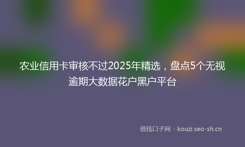 农业信用卡审核不过2025年精选，盘点5个无视逾期大数据花户黑户平台