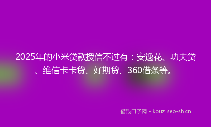 2025年的小米贷款授信不过有：安逸花、功夫贷、维信卡卡贷、好期贷、360借条等。