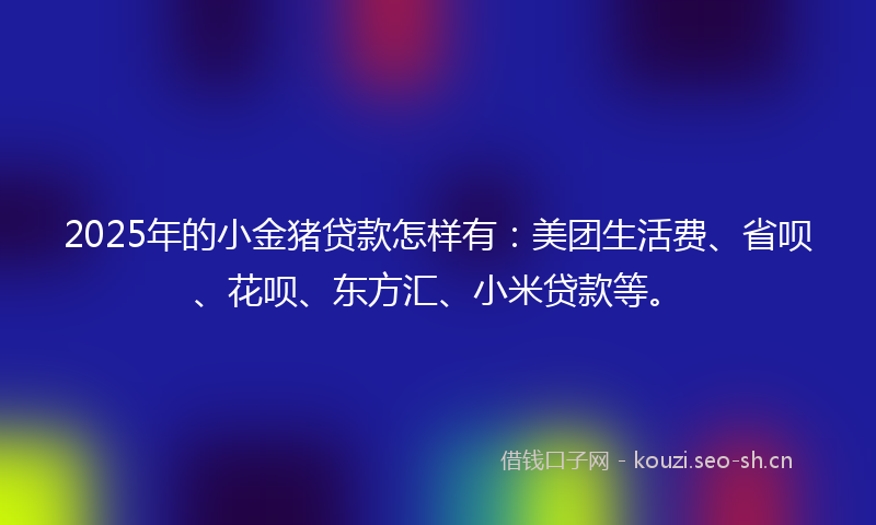 2025年的小金猪贷款怎样有：美团生活费、省呗、花呗、东方汇、小米贷款等。