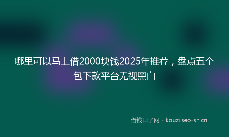 哪里可以马上借2000块钱2025年推荐，盘点五个包下款平台无视黑白