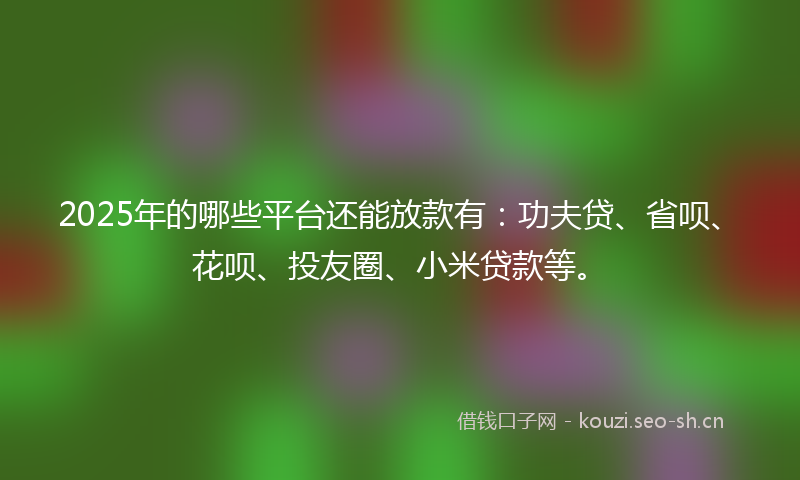 2025年的哪些平台还能放款有：功夫贷、省呗、花呗、投友圈、小米贷款等。