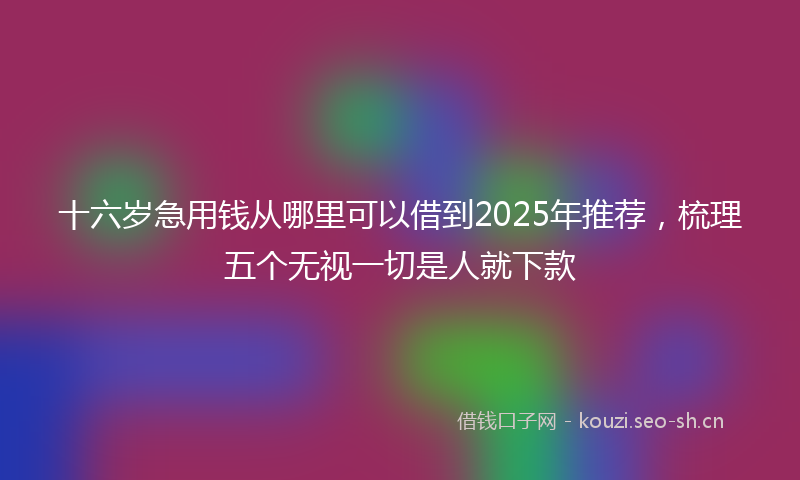 十六岁急用钱从哪里可以借到2025年推荐，梳理五个无视一切是人就下款