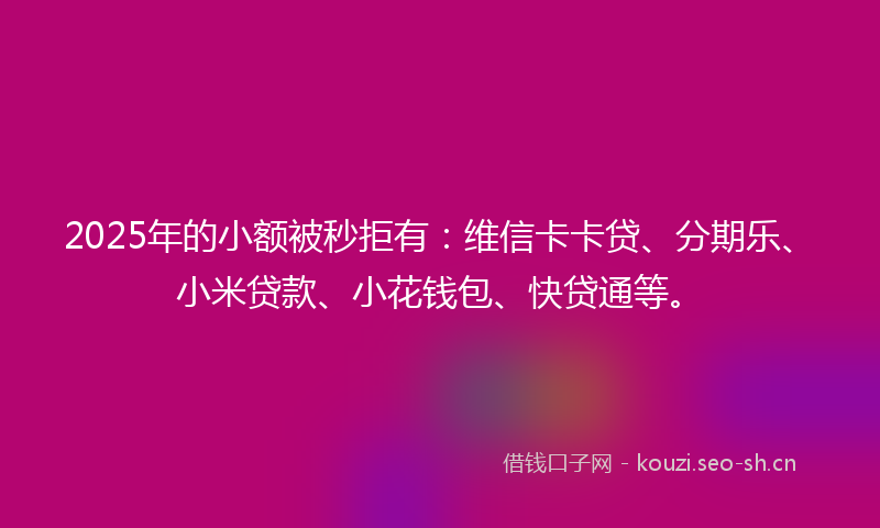 2025年的小额被秒拒有：维信卡卡贷、分期乐、小米贷款、小花钱包、快贷通等。