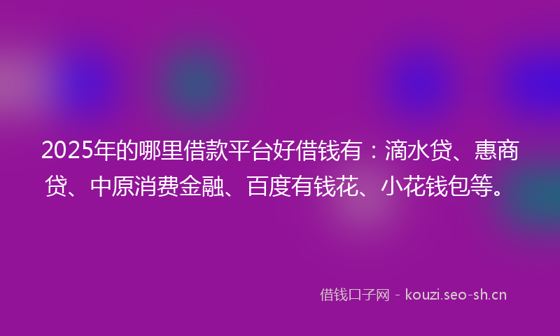 2025年的哪里借款平台好借钱有：滴水贷、惠商贷、中原消费金融、百度有钱花、小花钱包等。