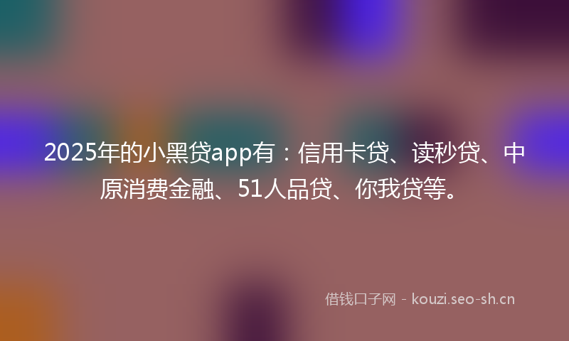 2025年的小黑贷app有：信用卡贷、读秒贷、中原消费金融、51人品贷、你我贷等。