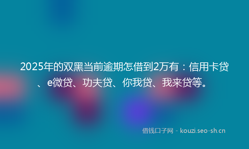 2025年的双黑当前逾期怎借到2万有：信用卡贷、e微贷、功夫贷、你我贷、我来贷等。