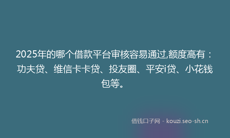2025年的哪个借款平台审核容易通过,额度高有：功夫贷、维信卡卡贷、投友圈、平安i贷、小花钱包等。