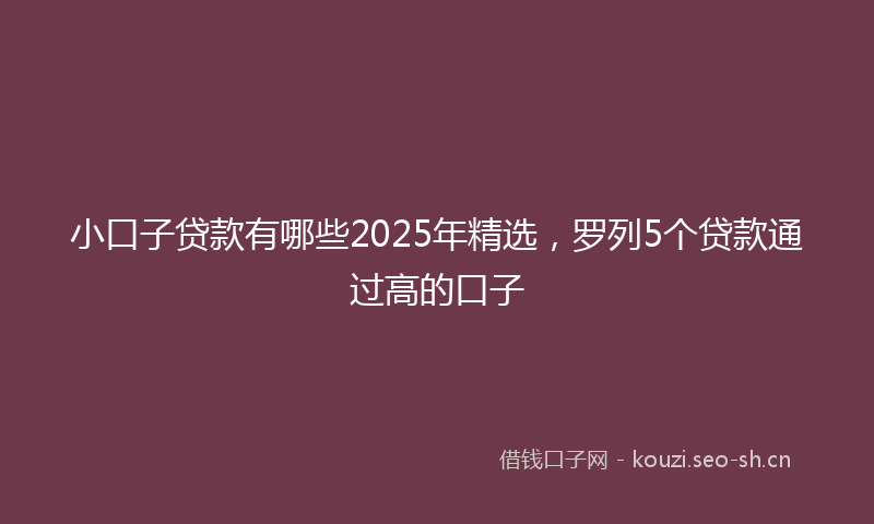 小口子贷款有哪些2025年精选，罗列5个贷款通过高的口子