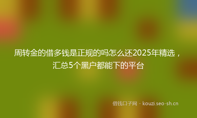 周转金的借多钱是正规的吗怎么还2025年精选，汇总5个黑户都能下的平台