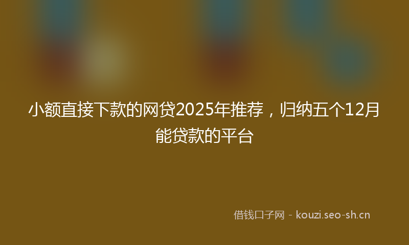 小额直接下款的网贷2025年推荐，归纳五个12月能贷款的平台