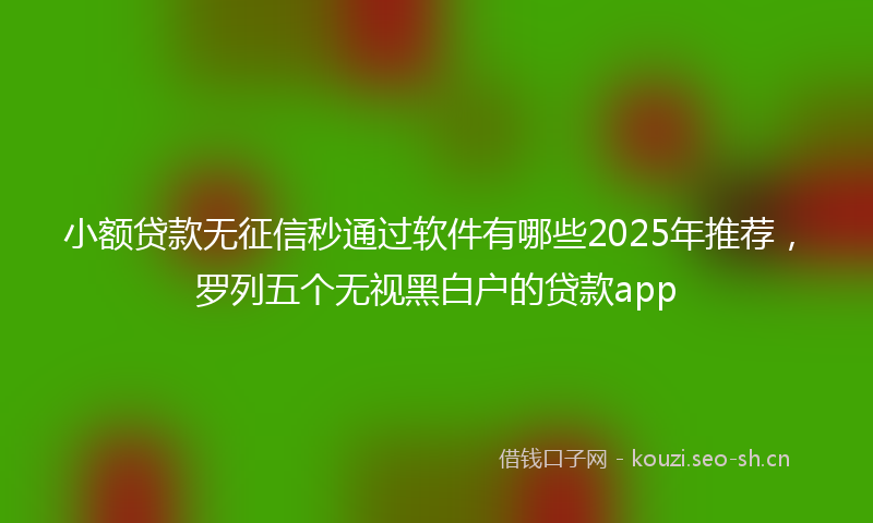小额贷款无征信秒通过软件有哪些2025年推荐，罗列五个无视黑白户的贷款app