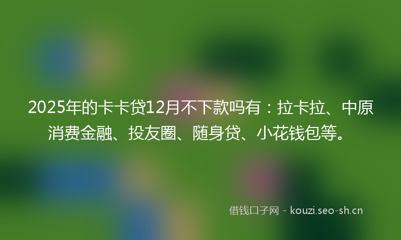 2025年的卡卡贷12月不下款吗有：拉卡拉、中原消费金融、投友圈、随身贷、小花钱包等。