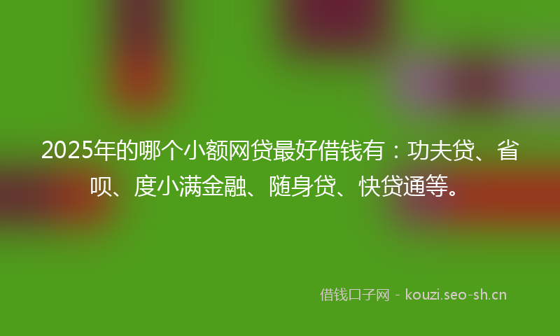 2025年的哪个小额网贷最好借钱有：功夫贷、省呗、度小满金融、随身贷、快贷通等。