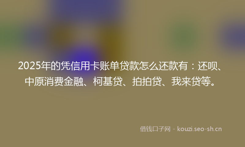 2025年的凭信用卡账单贷款怎么还款有：还呗、中原消费金融、柯基贷、拍拍贷、我来贷等。