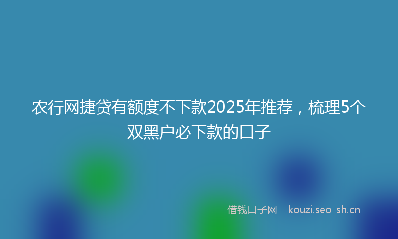 农行网捷贷有额度不下款2025年推荐，梳理5个双黑户必下款的口子