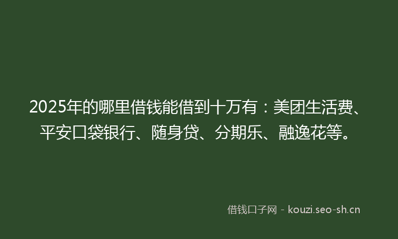 2025年的哪里借钱能借到十万有：美团生活费、平安口袋银行、随身贷、分期乐、融逸花等。