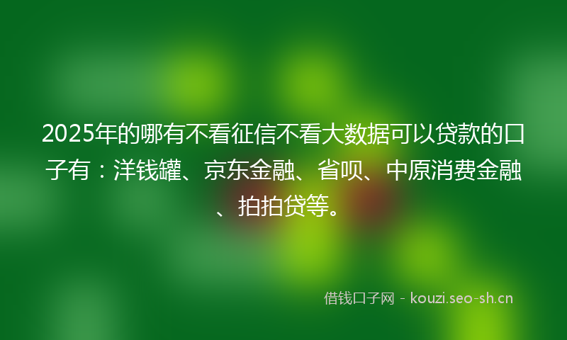2025年的哪有不看征信不看大数据可以贷款的口子有：洋钱罐、京东金融、省呗、中原消费金融、拍拍贷等。