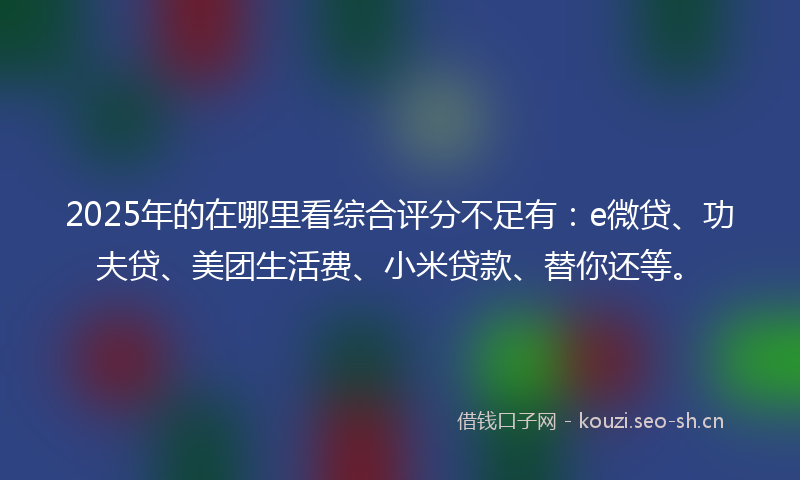 2025年的在哪里看综合评分不足有：e微贷、功夫贷、美团生活费、小米贷款、替你还等。