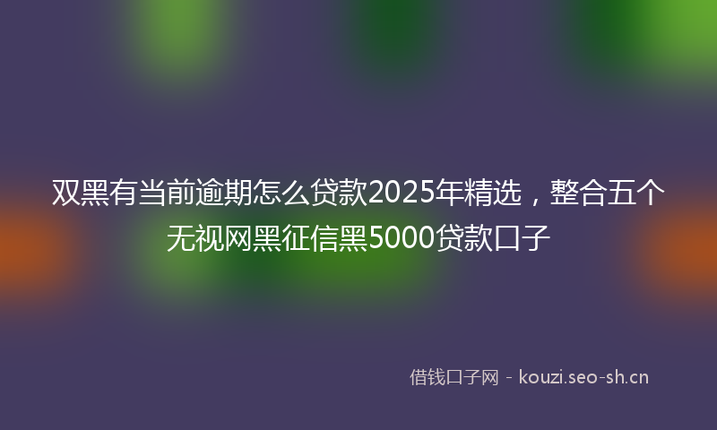 双黑有当前逾期怎么贷款2025年精选，整合五个无视网黑征信黑5000贷款口子