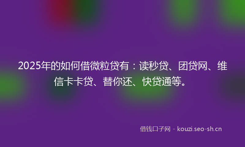 2025年的如何借微粒贷有：读秒贷、团贷网、维信卡卡贷、替你还、快贷通等。