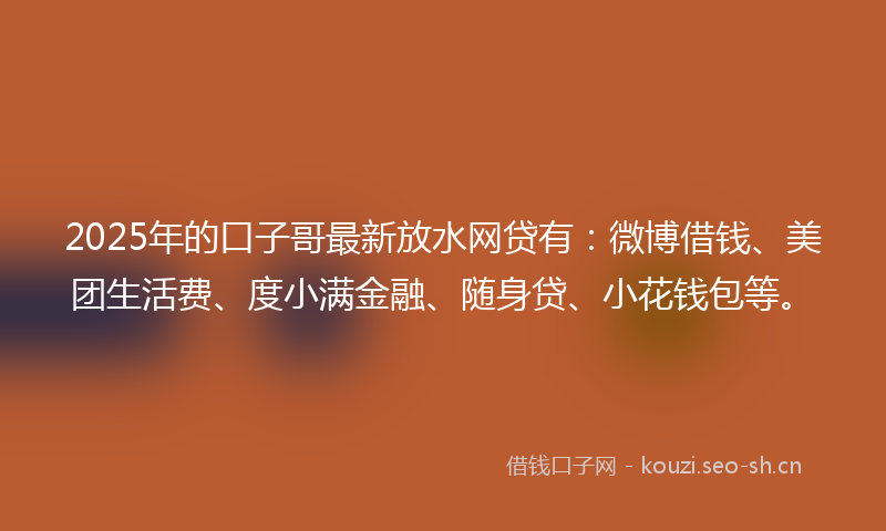 2025年的口子哥最新放水网贷有：微博借钱、美团生活费、度小满金融、随身贷、小花钱包等。