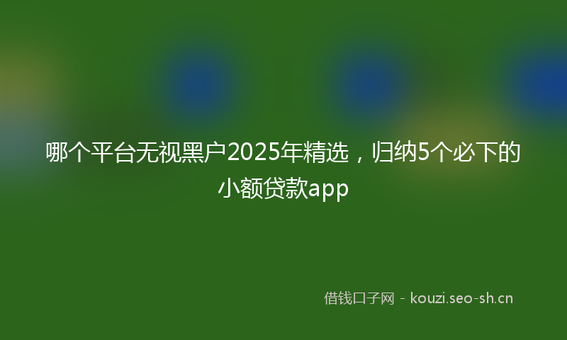 哪个平台无视黑户2025年精选，归纳5个必下的小额贷款app